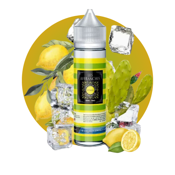 E-LIQUIDE CITRON CACTUS N°1825 (80 ml, 0 mg/ml, 30/70) - Photo 1
